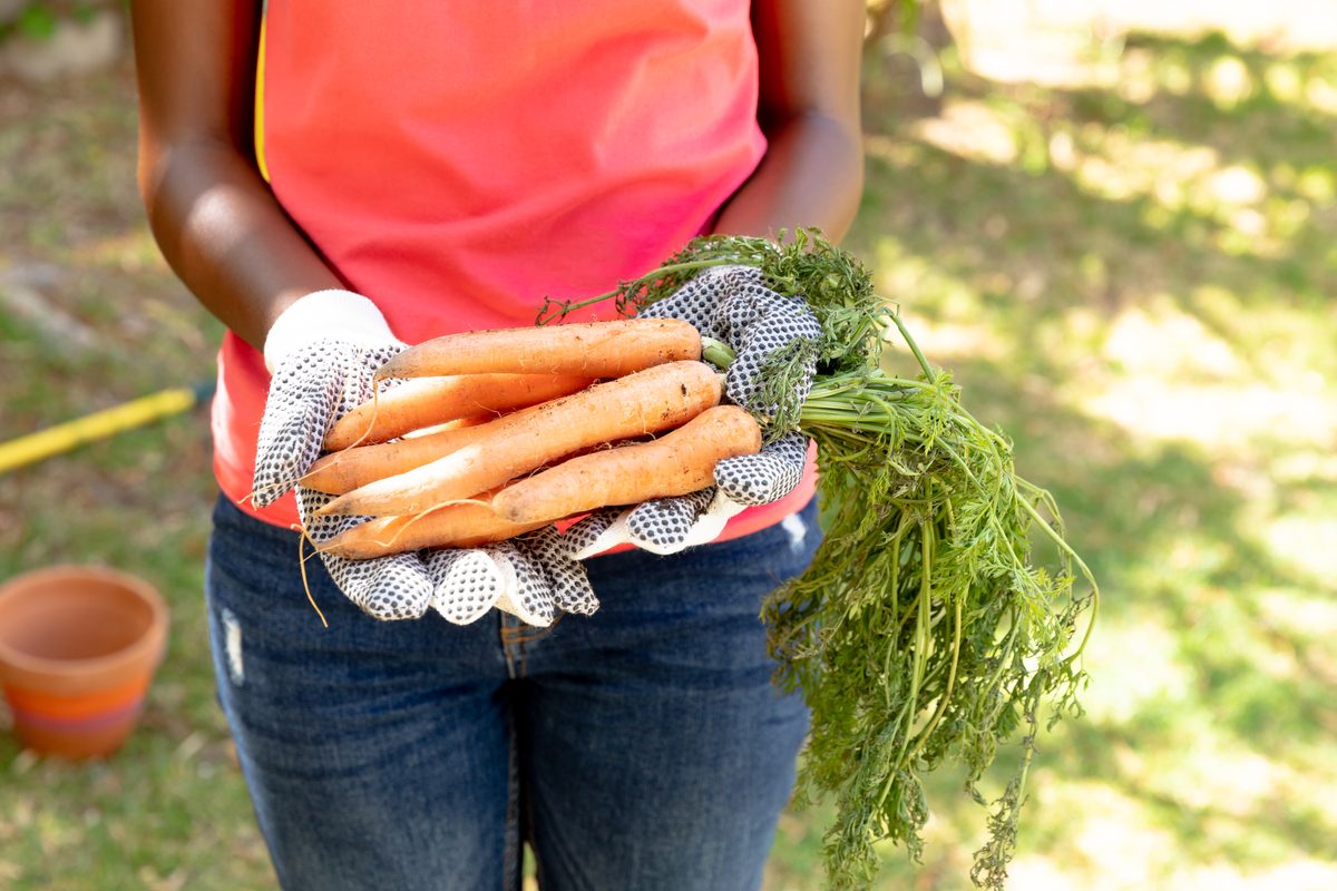 woman in a garden holding carrots