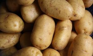 A pile of brown potatoes up close