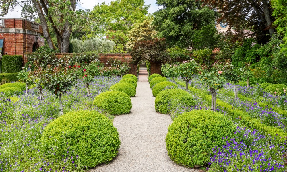 An English country garden path