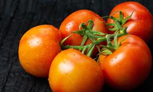 Five grown tomatoes