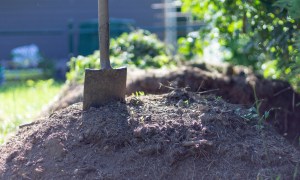 Shovel in pile of dirt compost