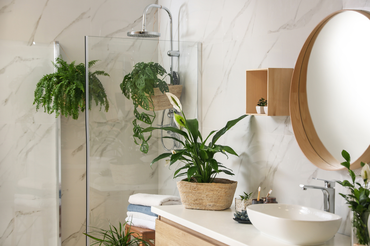 Best Hanging Shower Plants To Add To Your Bathroom HappySprout   Small Bathroom Plants 