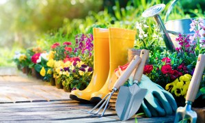 Yellow boots, metal garden tools, green gloves, and a metal watering can in a flower bed next to a wooden garden path