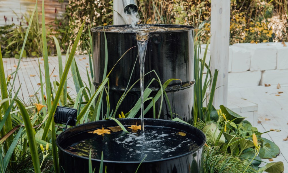 Overflowing rain barrel in a garden