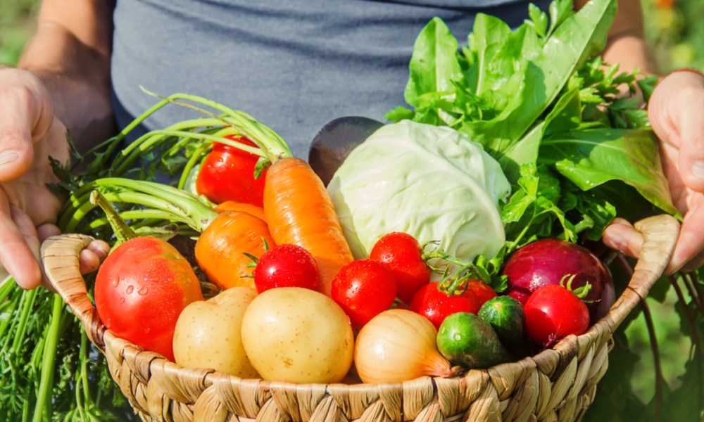 A person holding a basket full of assorted vegetables