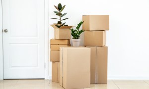 A stack of cardboard boxes with two potted plants on top, in front of a white wall with a white door in it