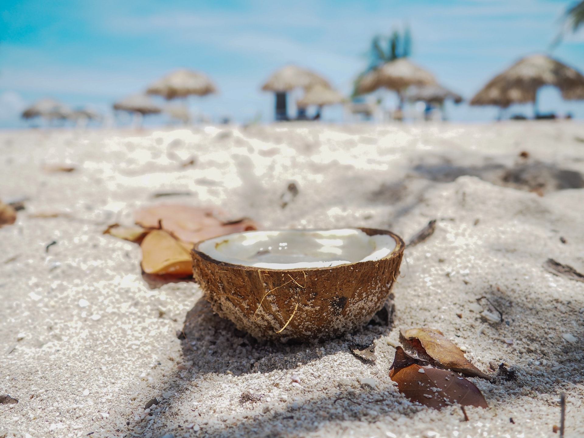 coconut coir growing vegetables at the beach