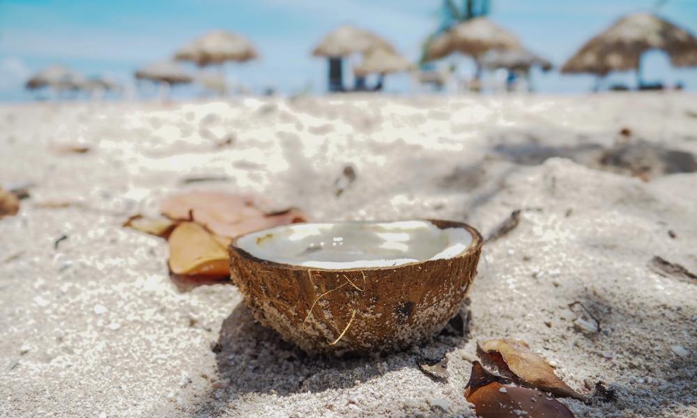 Coconut at the beach