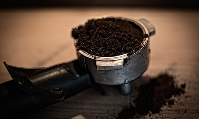 Dark coffee grounds in a silver measuring scoop