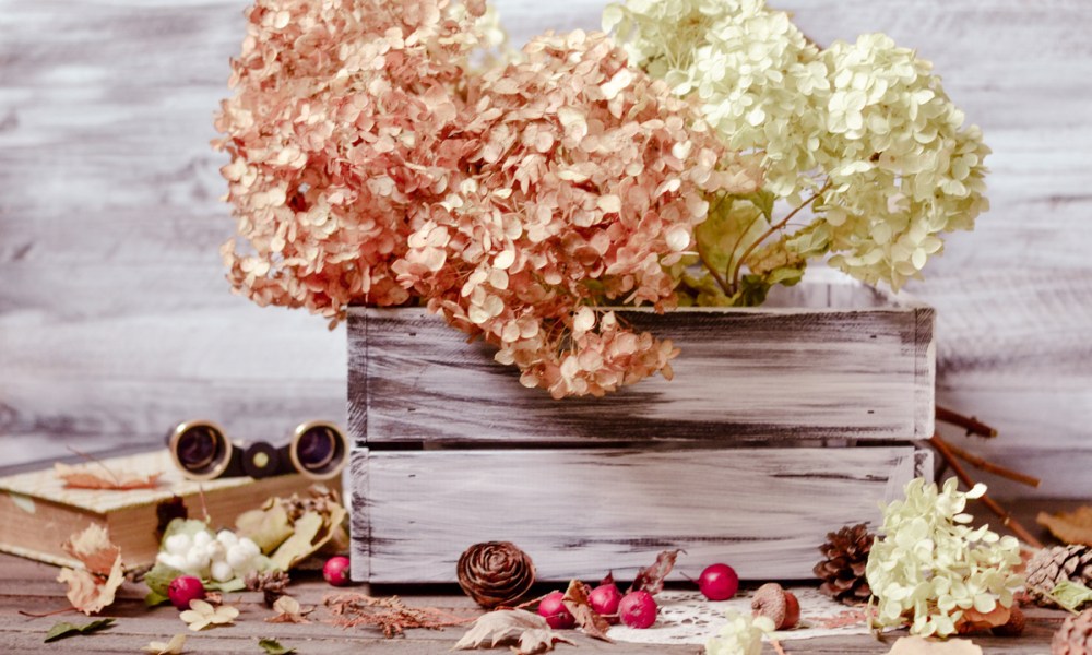 A wooden box with pink and white dried hydrangeas in it. Around the box are flowers petals, pine cones, and berries.