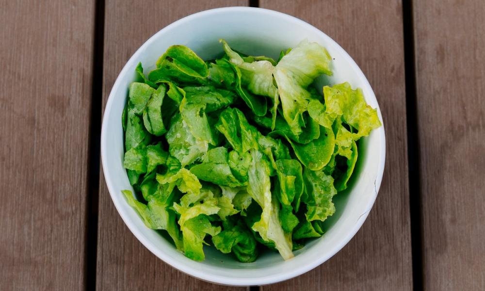 Harvested lettuce in a bowl