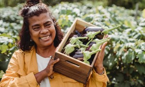 Cheerful woman with a box of eggplants