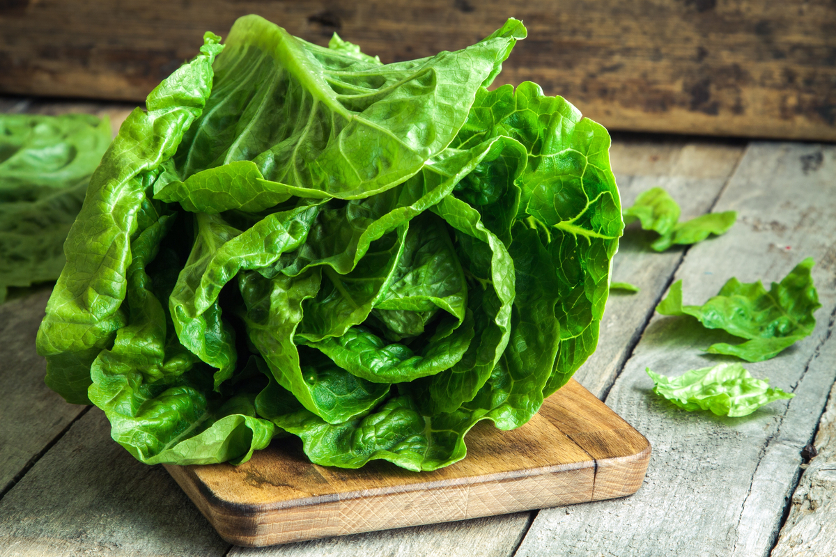 growing lettuce indoors how to fresh cutting board jpg