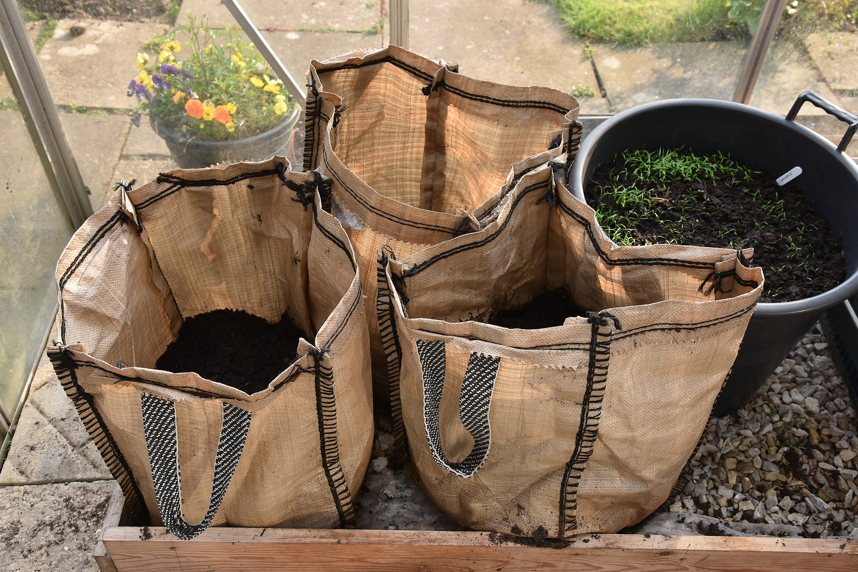 How to grow potatoes in bags – Marshalls Garden