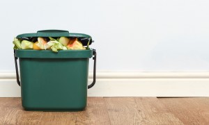 A kitchen compost bin