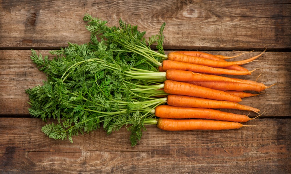 A bundle of fresh carrots