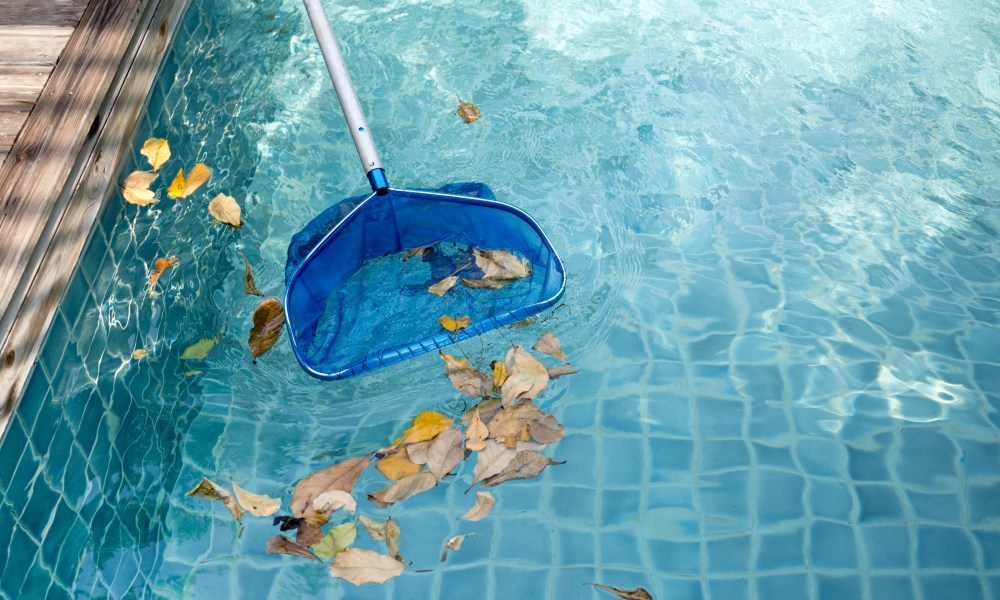 Filtering leaves out of a pool