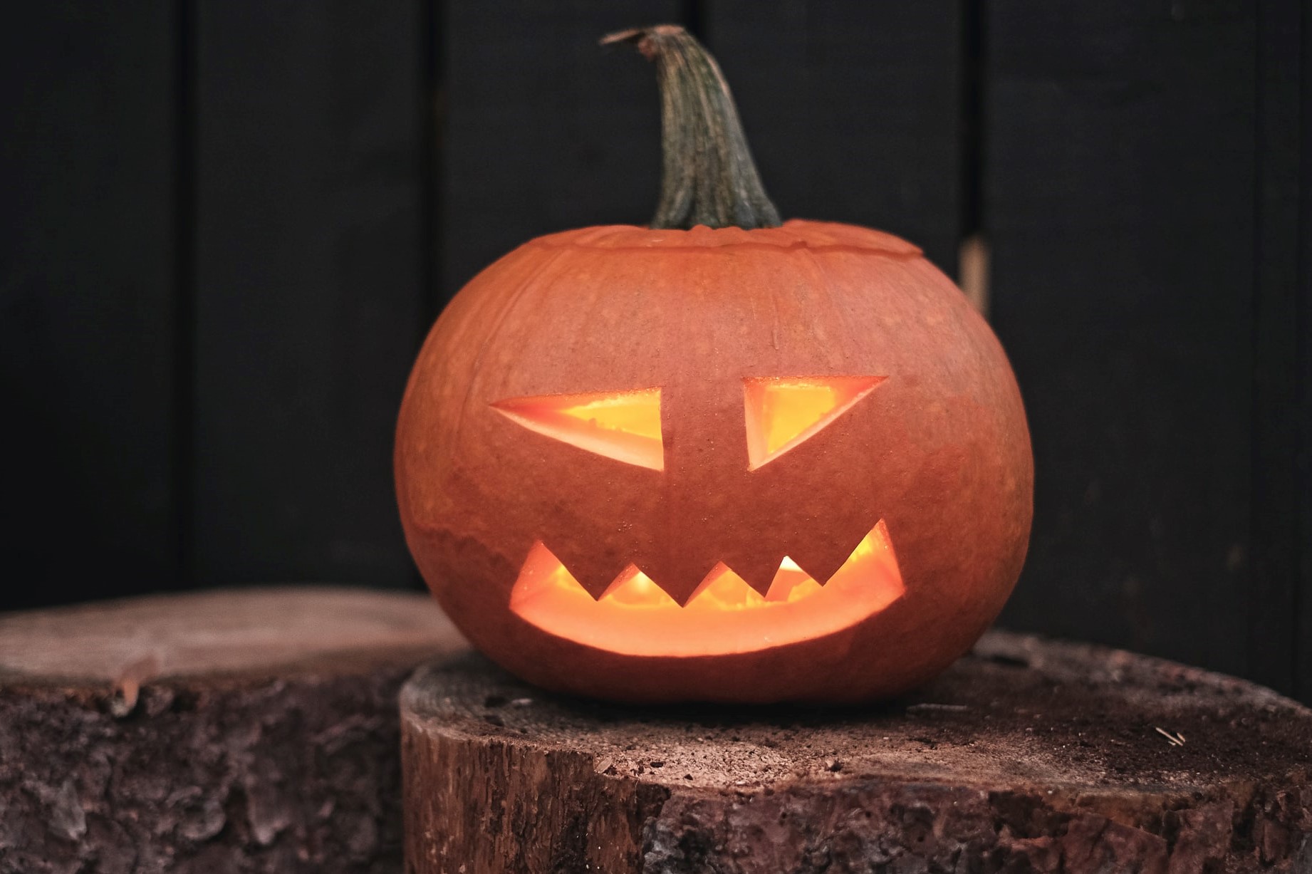 How To Compost Pumpkins After The Holiday Is Over | HappySprout