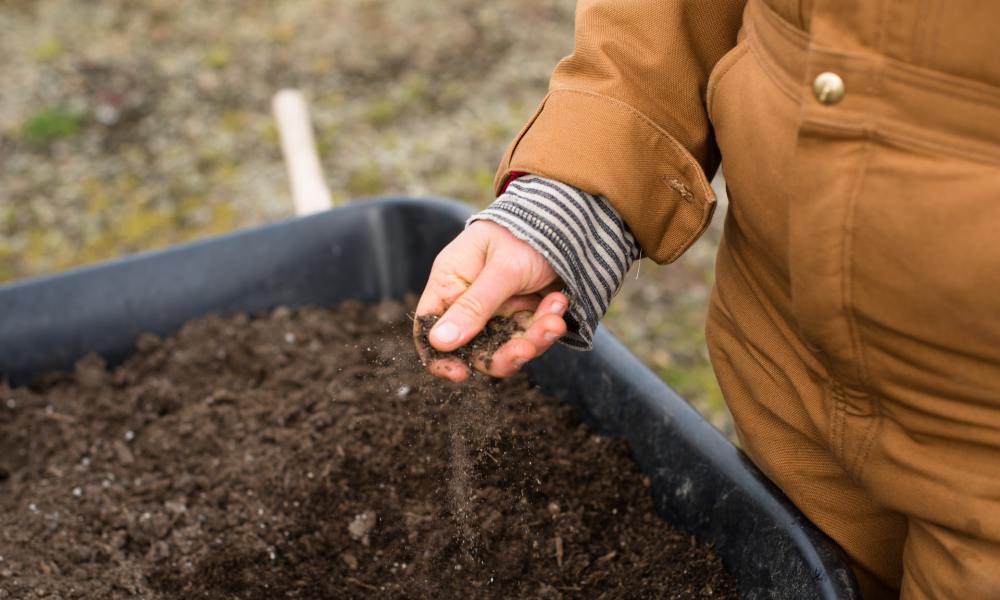 Person holding soil