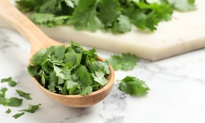 Fresh cilantro in a spoon