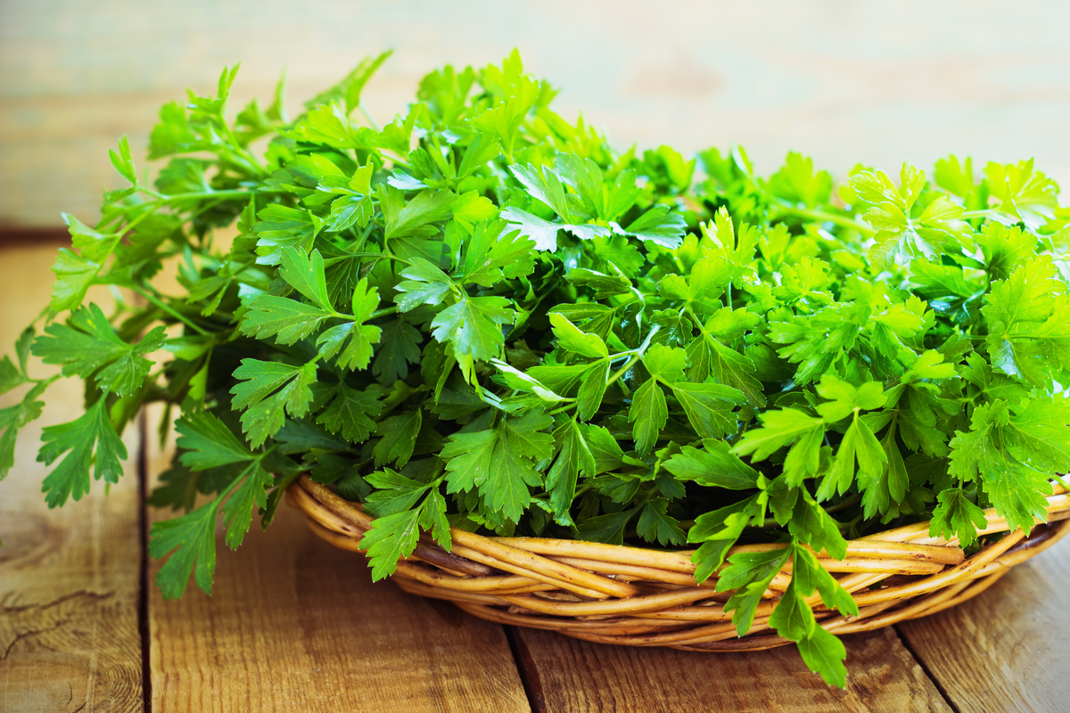 A basket of fresh parsley