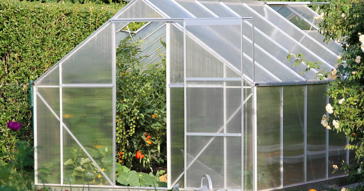 how-to-grow-fresh-veggies-in-an-unheated-greenhouse-happysprout