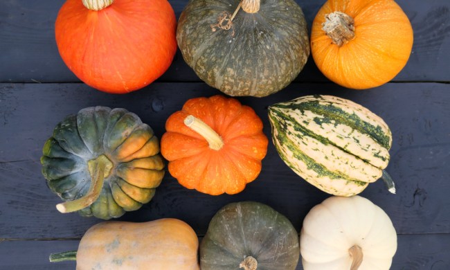 A variety of squash types set on a black table