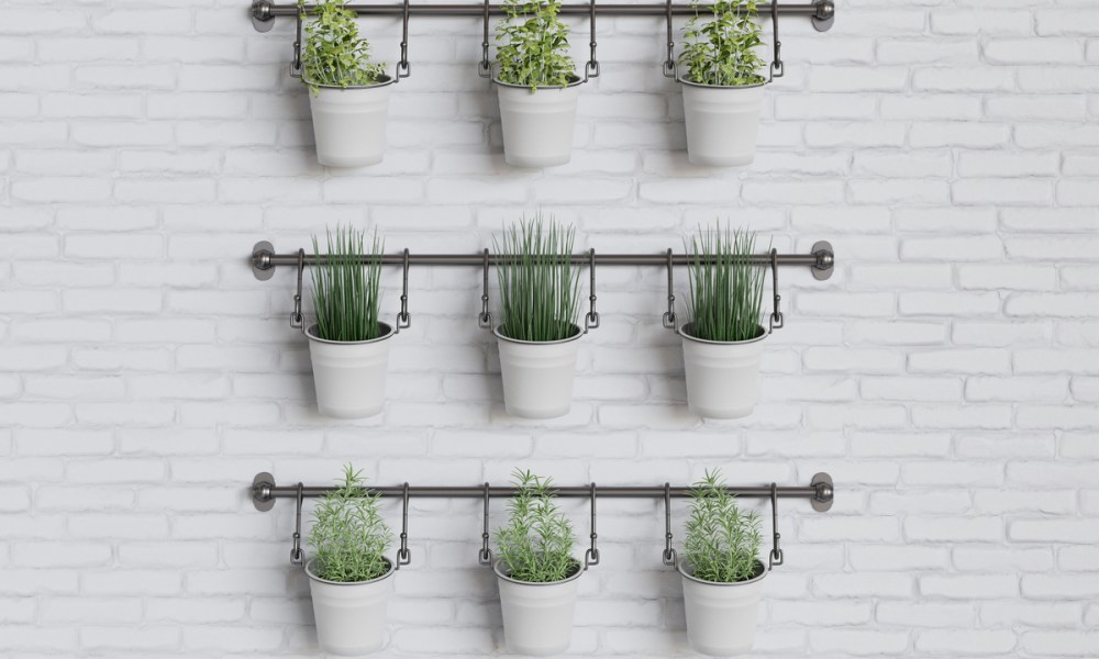 A wall-hanging herb garden