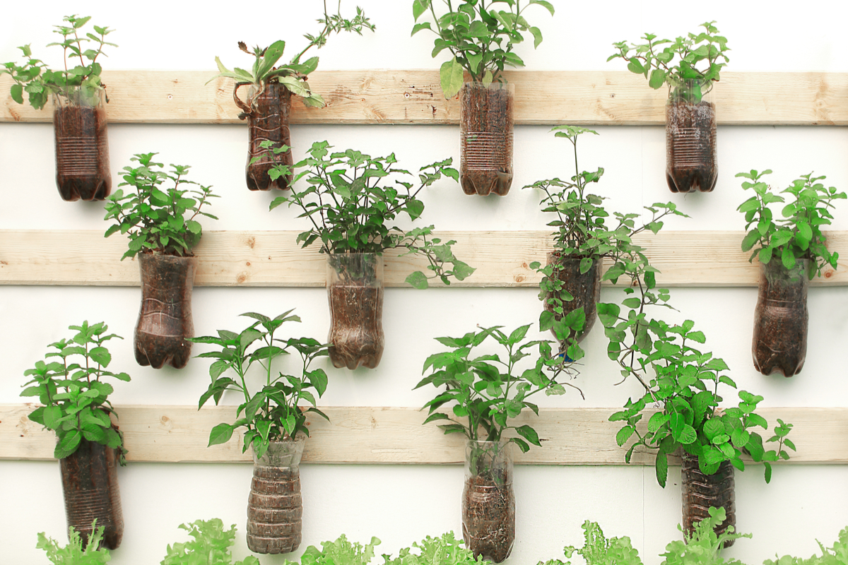 The Best Way To DIY Your Own Wall Hanging Herb Garden HappySprout   Wall Hanging Herbs 