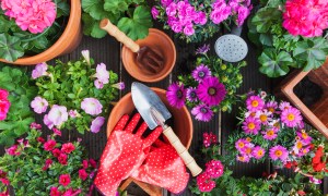 Gardening gloves