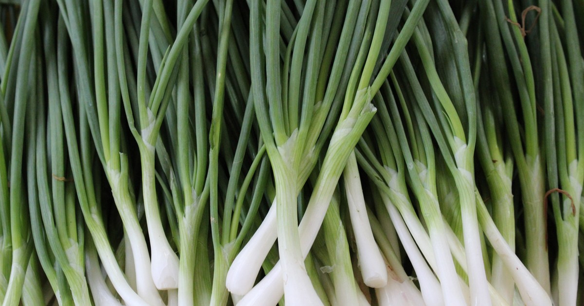 The best veggie for tiny spaces: How to grow spring onions | HappySprout