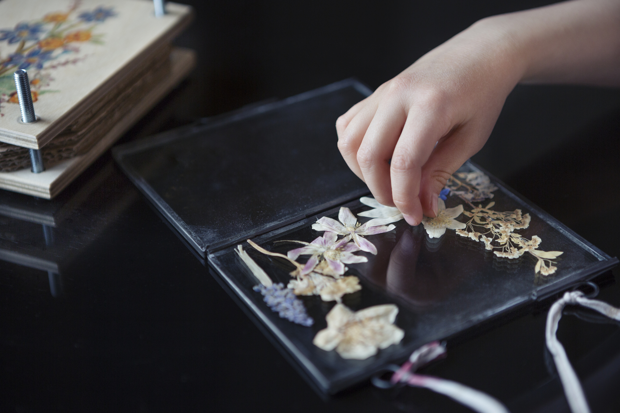 How To Press Roses HappySprout   Pressing Flowers 