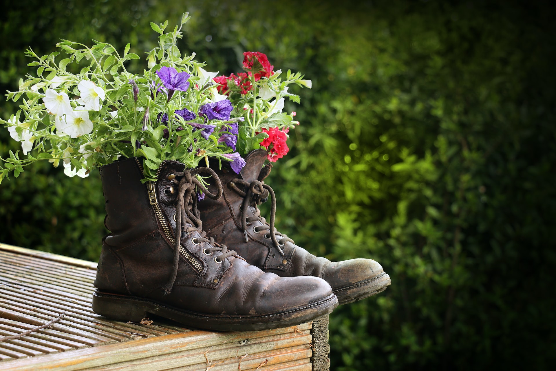 upcycled garden accessories shoe planter