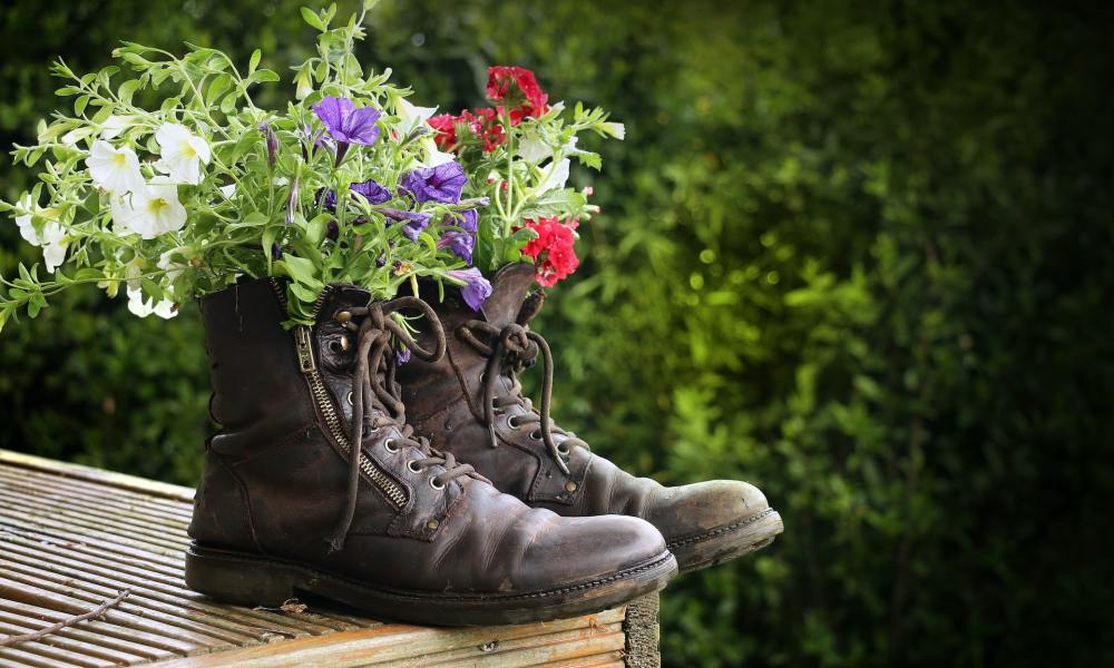 Shoe planter