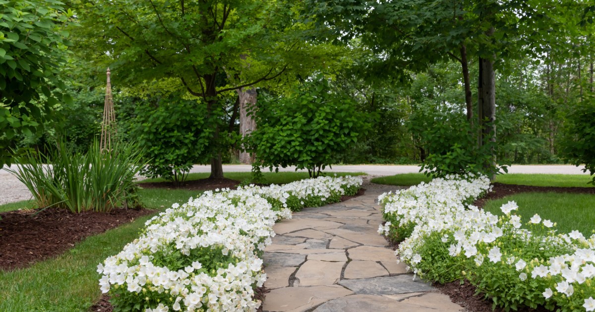 7-different-types-of-rocks-for-landscaping-happysprout