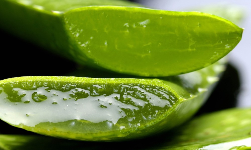 Cut aloe vera