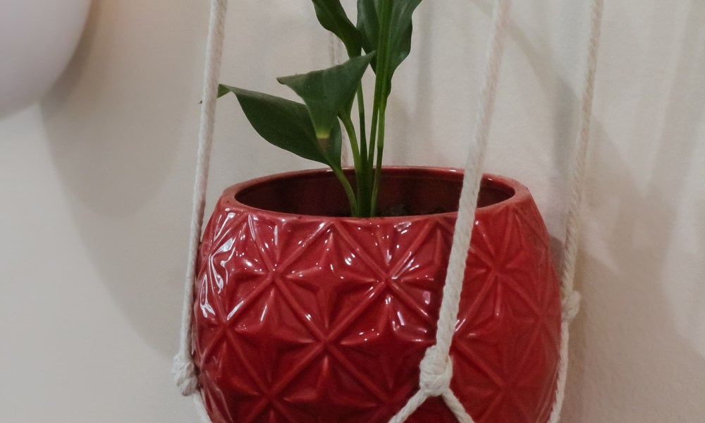 A small lily in a red ceramic hanging pot